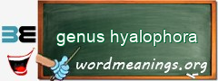 WordMeaning blackboard for genus hyalophora